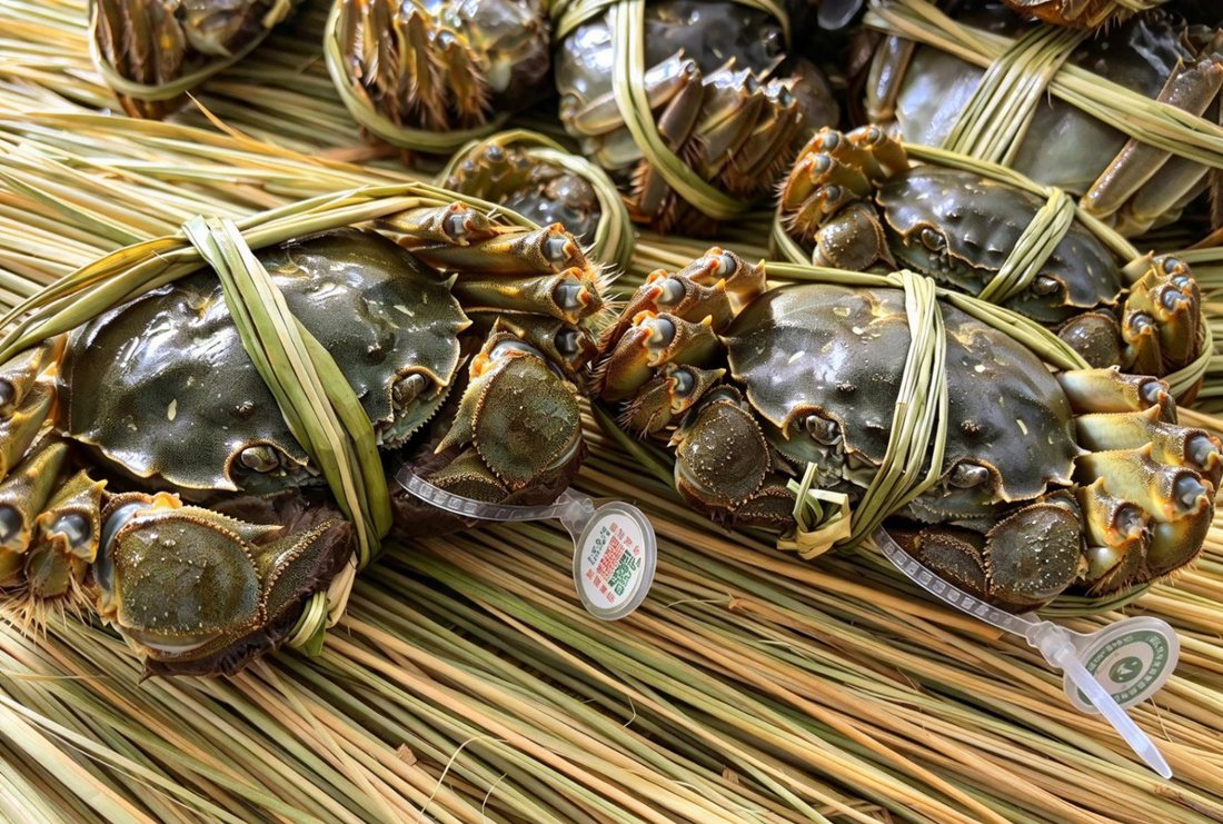 万顷牌生态太湖蟹